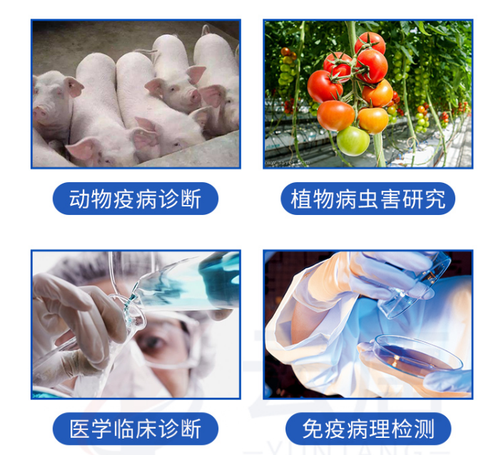 動物疫病檢測儀的檢測范圍有哪些？